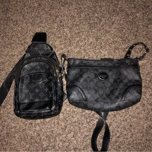 Louis Vuitton shoulder bag and coach purse